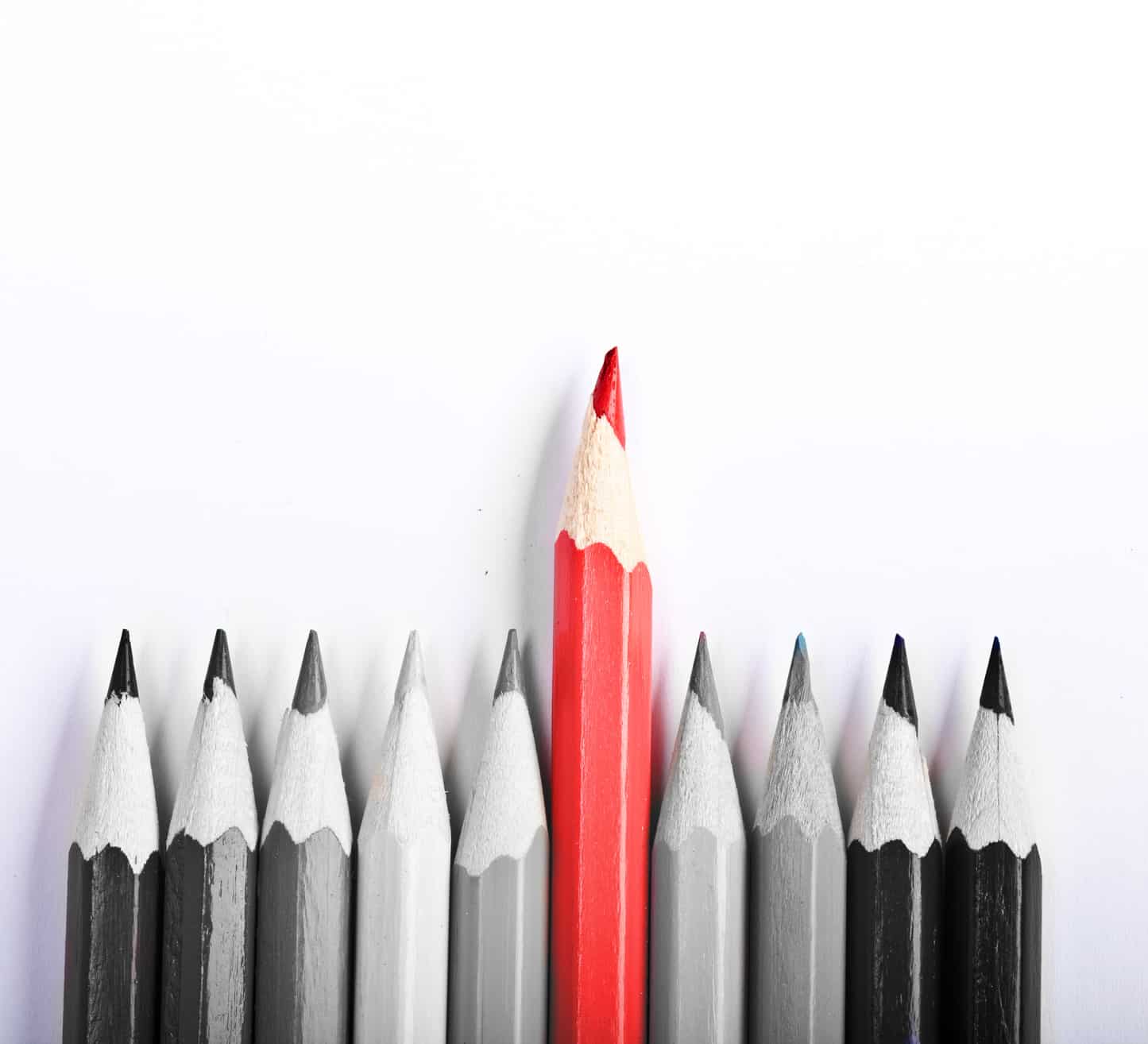 How To Optimize Your Content How To Optimize Your Content