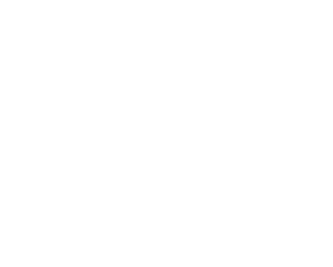 Solid Custom Floor Coatings logo