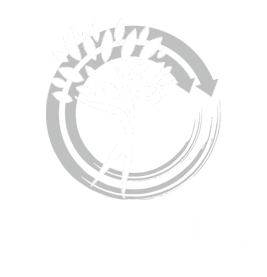 Web Design Portfolio -Regeneration Health Ogden UT
